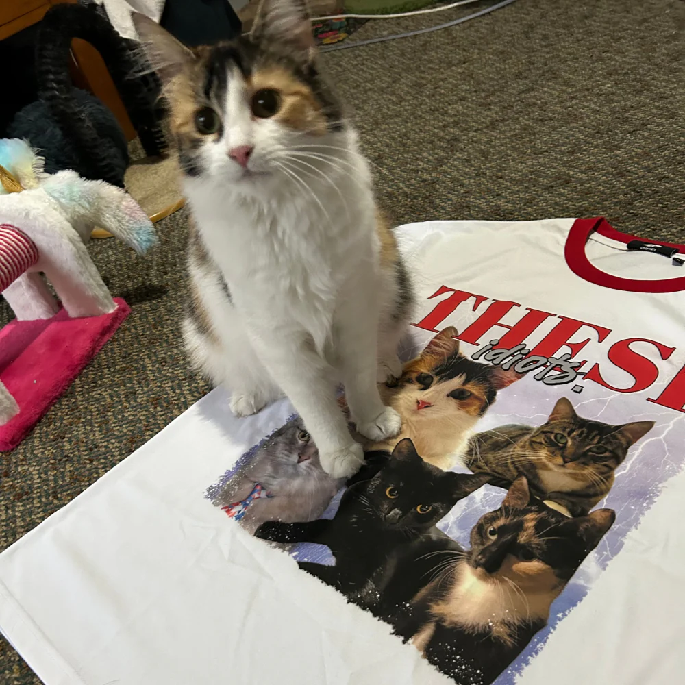 Create Your Own Custom Bootleg Tee - Image 31